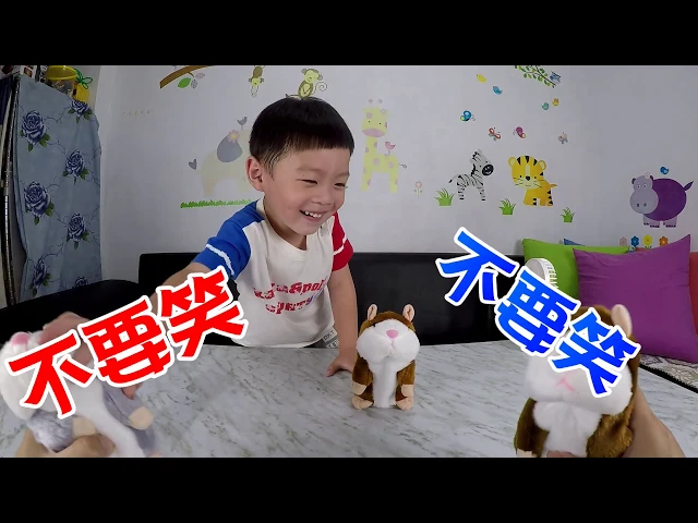 爆笑!小寶玩的開心!爸爸卻很崩潰!迴聲小倉鼠玩具開箱【 love tv小寶愛你笑】